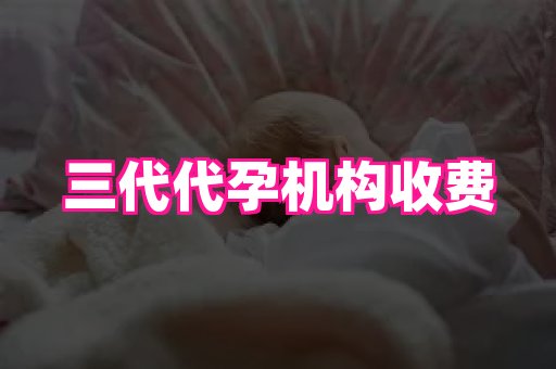 点点助孕网 1