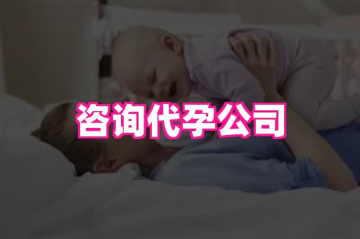点点助孕网 2