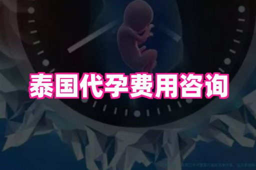 点点助孕网 3