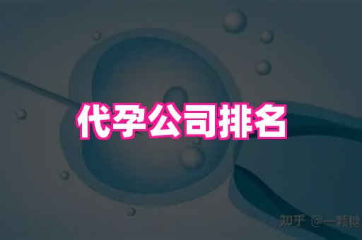 点点助孕网 4